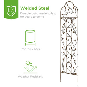 Iron Arched Garden Trellis