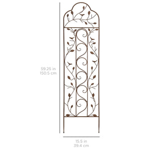 Iron Arched Garden Trellis