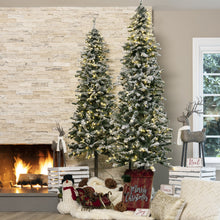 Load image into Gallery viewer, Pre-Lit Snow Flocked Alpine Slim Pencil Christmas Tree w/ LED Lights, Stand
