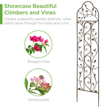 Load image into Gallery viewer, Set of Two Iron Arched Garden Trellis
